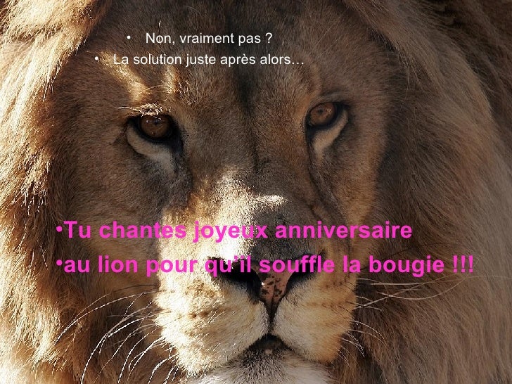 L Enigme Du Lion