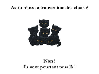 As-tu réussi à trouver tous les chats ?
Non !
Ils sont pourtant tous là !