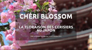 Chéri Blossom: La floraison des cerisiers au Japon