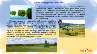 Канівський природний заповідник
Місцева природа тут поєднала в собі лісисті пагорби та
глибокі води Дніпра, степову рослинність і заболочені
ділянки, популярні туристичні місця та ізольовані заплавні
острови. Рослинний світ заповідника нараховує близько 990
видів, що складає 20 % загальної флори України. Заповідник
отримав міжнародний статус території, важливої для охорони
птахів, та увійшов до складу Смарагдової мережі — переліку
територій особливого природоохоронного значення для
збереження біорізноманіття у країнах Європи.
Канівський природний заповідник — один з найстаріших
заповідників України. Заснований 1923 року. Його площа
складає 2027 гектарів. Заповідник має багату природну та
історичну спадщину. Тут виявлені та перебувають під
охороною чисельні пам’ятки історії та археології: скіфські
городища, поселення полян, залишки східно-слов’янського
містечка Родня.
 