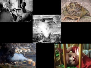 το πυρηνικό ατύχημα στο Chernobyl