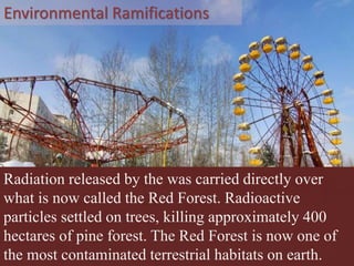 Environmental Ramifications
Radiation released by the was carried directly over
what is now called the Red Forest. Radioactive
particles settled on trees, killing approximately 400
hectares of pine forest. The Red Forest is now one of
the most contaminated terrestrial habitats on earth.
 