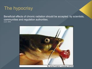 The hypocrisy
Beneficial effects of chronic radiation should be accepted by scientists,
communities and regulation authorities.
(Luan, 2004)
 