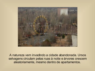 A natureza vem invadindo a cidade abandonada. Ursos selvagens circulam pelas ruas à noite e árvores crescem aleatoriamente, mesmo dentro de apartamentos.  