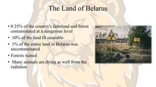 The Land of Belarus
• 0 25% of the country's farmland and forest
contaminated at a dangerous level
• 10% of the land IS unusable
• 1% of the entire land in Belarus was
uncontaminated
• Forests ruined
• Many animals are dying as well from the
radiation
 