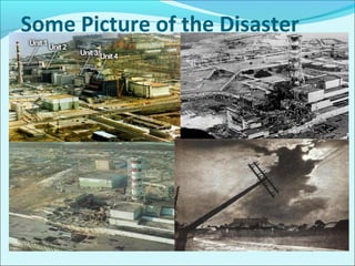 Some Picture of the Disaster 
 