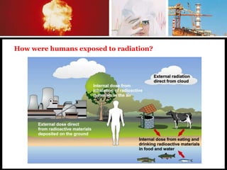 How were humans exposed to radiation?
 
