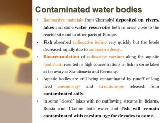 Contaminated water bodies
• Radioactive materials from Chernobyl deposited on rivers,
lakes and some water reservoirs both in areas close to the
reactor site and in other parts of Europe.
• Fish absorbed radioactive iodine very quickly but the levels
decreased rapidly due to radioactive decay .
• Bioaccumulation of radioactive caesium along the aquatic
food chain resulted in high concentrations in fish in some lakes
as far away as Scandinavia and Germany.
• Aquatic bodies are still being contaminated by runoff of long
lived caesium-137 and strontium-90 released from
contaminated soils.
• in some “closed” lakes with no outflowing streams in Belarus,
Russia and Ukraine both water and fish will remain
contaminated with caesium-137 for decades to come.
 