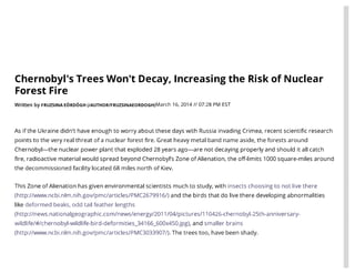 Chernobyl's trees won't ...rest fire   motherboard