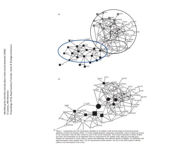Visualizing Networks
