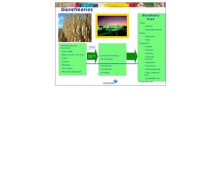 Bioreﬁneries
                                                                       Bioreﬁnery
                                                                          Uses
                                                                   • Fuels:
                                                                         • Ethanol
                                                                         • Renewable Diesel
                                                                   •Power:
                                                                         • Electricity
                                                                         • Heat
                                                                   •Chemicals
Abundant Biomass               Enzymatic                                 • Plastics
Feedstocks                     hydrolysis

                                                                         • Polymers
• Corn stover
                                                                         • Solvents
• Wheat, barley, rice straw   Inexpensive   Conversion Processes
                              sugars                                     • Chemical
• Trees                                     • Fermentation               intermed.
• Grasses                                                                • Adhesives
• Saw dust                                  • Gasiﬁcation                • Fatty Acids
• Ag residues                               • Combustion                 • Pharmaceuticals
• Municipal solid waste                     • Co-ﬁring                   • Dyes, pigments,
                                                                         paint
                                                                         • Surfactants, Etc.
                                                                   •Food and Feed
 
