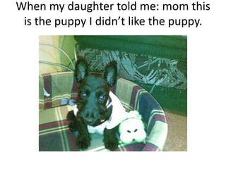 When my daughter told me: mom this is the puppy I didn’t like the puppy.