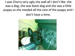 I saw Cherry very ugly she wall all I don’t like: she was a dog, she was black dog and she was a little puppy so she needed all the care of the puppy and I don’t have a time.