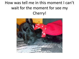 How was tell me in this moment I can’t wait for the moment for see my Cherry!