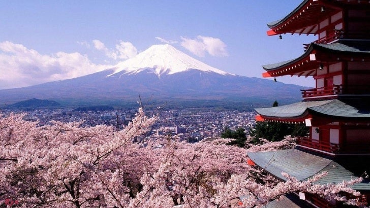 sakura powerpoint template