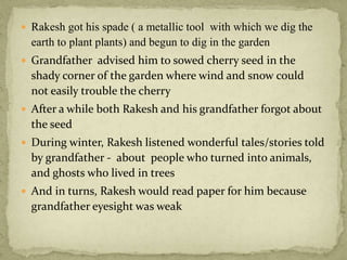  Rakesh got his spade ( a metallic tool with which we dig the
earth to plant plants) and begun to dig in the garden
 Grandfather advised him to sowed cherry seed in the
shady corner of the garden where wind and snow could
not easily trouble the cherry
 After a while both Rakesh and his grandfather forgot about
the seed
 During winter, Rakesh listened wonderful tales/stories told
by grandfather - about people who turned into animals,
and ghosts who lived in trees
 And in turns, Rakesh would read paper for him because
grandfather eyesight was weak
 