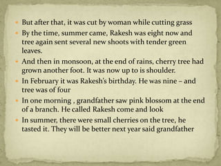  But after that, it was cut by woman while cutting grass
 By the time, summer came, Rakesh was eight now and
tree again sent several new shoots with tender green
leaves.
 And then in monsoon, at the end of rains, cherry tree had
grown another foot. It was now up to is shoulder.
 In February it was Rakesh’s birthday. He was nine – and
tree was of four
 In one morning , grandfather saw pink blossom at the end
of a branch. He called Rakesh come and look
 In summer, there were small cherries on the tree, he
tasted it. They will be better next year said grandfather
 