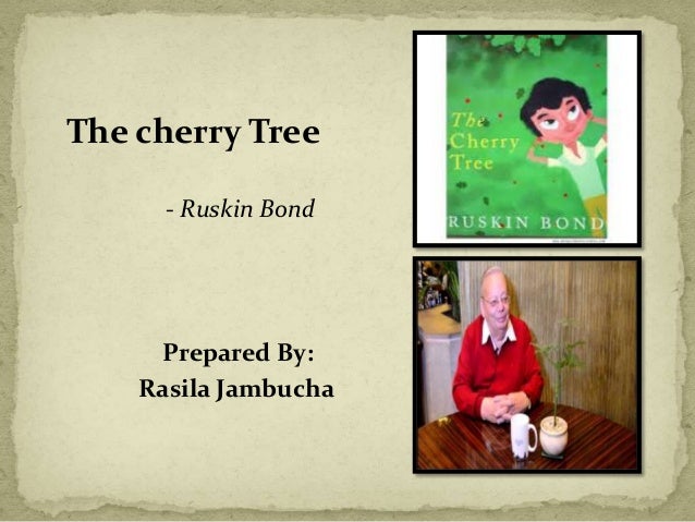 Cherry Tree By Ruskin Bond