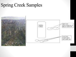 Spring Creek Samples
 