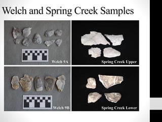 Welch and Spring Creek Samples
Welch 9A
Welch 9B
Spring Creek Upper
Spring Creek Lower
 