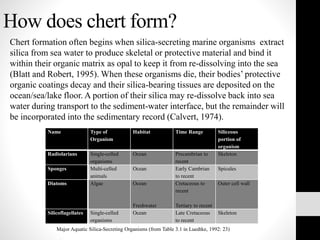 How does chert form?
Chert formation often begins when silica-secreting marine organisms extract
silica from sea water to produce skeletal or protective material and bind it
within their organic matrix as opal to keep it from re-dissolving into the sea
(Blatt and Robert, 1995). When these organisms die, their bodies’ protective
organic coatings decay and their silica-bearing tissues are deposited on the
ocean/sea/lake floor. A portion of their silica may re-dissolve back into sea
water during transport to the sediment-water interface, but the remainder will
be incorporated into the sedimentary record (Calvert, 1974).
Name Type of
Organism
Habitat Time Range Siliceous
portion of
organism
Radiolarians Single-celled
organisms
Ocean Precambrian to
recent
Skeleton
Sponges Multi-celled
animals
Ocean Early Cambrian
to recent
Spicules
Diatoms Algae Ocean
Freshwater
Cretaceous to
recent
Tertiary to recent
Outer cell wall
Silicoflagellates Single-celled
organisms
Ocean Late Cretaceous
to recent
Skeleton
Major Aquatic Silica-Secreting Organisms (from Table 3.1 in Luedtke, 1992: 23)
 