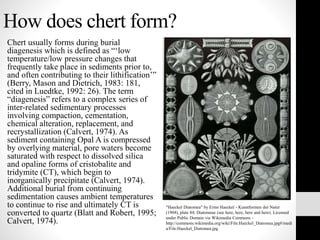 How does chert form?
Chert usually forms during burial
diagenesis which is defined as “‘low
temperature/low pressure changes that
frequently take place in sediments prior to,
and often contributing to their lithification’”
(Berry, Mason and Dietrich, 1983: 181,
cited in Luedtke, 1992: 26). The term
“diagenesis” refers to a complex series of
inter-related sedimentary processes
involving compaction, cementation,
chemical alteration, replacement, and
recrystallization (Calvert, 1974). As
sediment containing Opal A is compressed
by overlying material, pore waters become
saturated with respect to dissolved silica
and opaline forms of cristobalite and
tridymite (CT), which begin to
inorganically precipitate (Calvert, 1974).
Additional burial from continuing
sedimentation causes ambient temperatures
to continue to rise and ultimately CT is
converted to quartz (Blatt and Robert, 1995;
Calvert, 1974).
"Haeckel Diatomea" by Ernst Haeckel - Kunstformen der Natur
(1904), plate 84: Diatomeae (see here, here, here and here). Licensed
under Public Domain via Wikimedia Commons -
http://commons.wikimedia.org/wiki/File:Haeckel_Diatomea.jpg#/medi
a/File:Haeckel_Diatomea.jpg
 