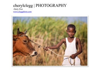 cherylclegg | PHOTOGRAPHY
-Daily Post
www.cleggphoto.com
 