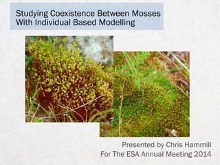 Studying Coexistence Between Mosses
With Individual Based Modelling
Presented by Chris Hammill
For The ESA Annual Meeting 2014
 