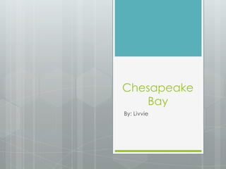 Chesapeake
Bay
By: Livvie
 