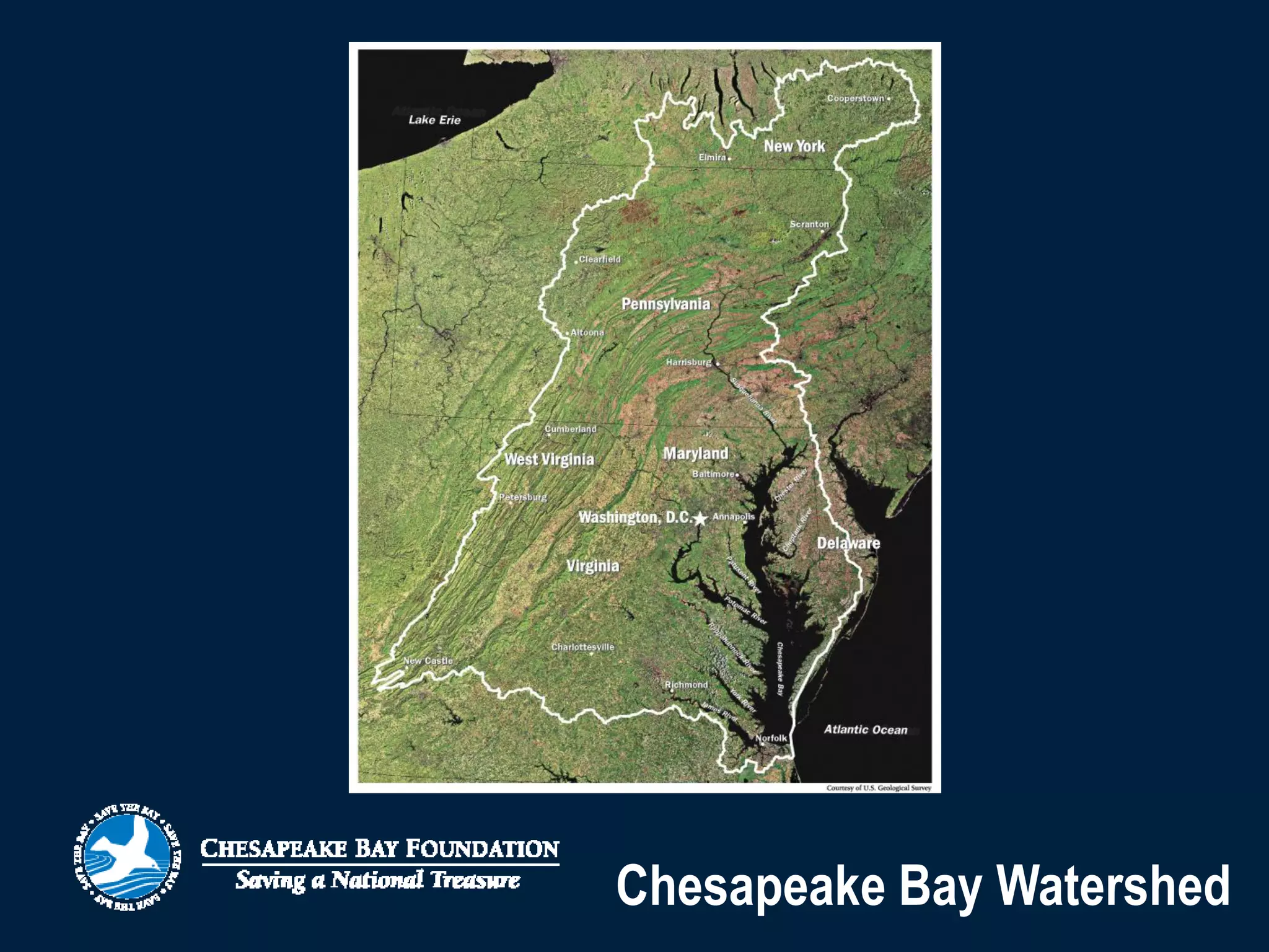 Chesapeake Bay Foundation Brief
