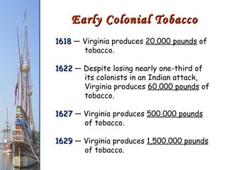 Early Colonial Tobacco 1618  — Virginia produces  20,000 pounds  of    tobacco. 1622  — Despite losing nearly one-third of    its colonists in an Indian attack,   Virginia produces  60,000 pounds  of   tobacco. 1627  — Virginia produces  500,000 pounds   of tobacco. 1629  — Virginia produces  1,500,000 pounds     of tobacco. 