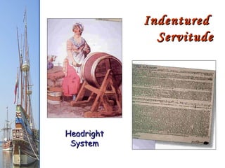 Indentured  Servitude Headright System 