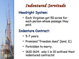 Indentured Servitude Headright System: Each Virginian got 50 acres for each person whose passage they paid. Indenture Contract: 5-7 years. Promised “freedom dues” [land, £] Forbidden to marry. 1610-1614:  only 1 in 10 outlived their indentured contracts! 