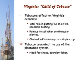 Tobacco’s effect on Virginia’s economy: Vital role in putting VA on a firm economic footing. Ruinous to soil when continuously planted. Chained VA’s economy to a single crop. Tobacco promoted the use of the plantation system. Need for cheap, abundant labor. Virginia: “Child of Tobacco” 