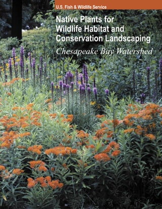 U.S. Fish & Wildlife Service

Native Plants for
Wildlife Habitat and
Conservation Landscaping
Chesapeake Bay Watershed
 