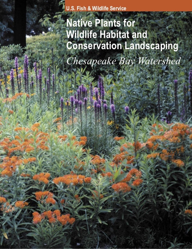 Native Plants for Wildlife Habitat and Conservation Landscaping Ches…