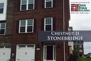 Chestnut II Stonebridge