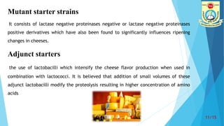 Mutant starter strains
It consists of lactase negative proteinases negative or lactase negative proteinases
positive deriv...