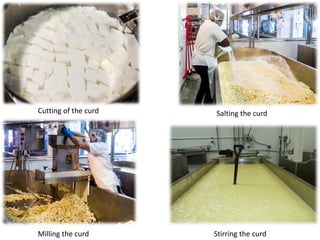 Cheese lecture third year general student 2020 (definition,technology,N ...