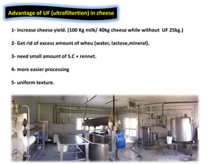 Cheese lecture third year general student 2020 (definition,technology,N ...