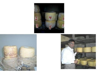 Cheese lecture third year general student 2020 (definition,technology,N ...