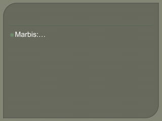  Marbis:…

 