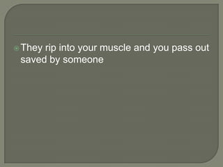  They

rip into your muscle and you pass out
saved by someone

 