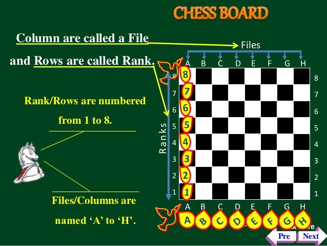 Chess For Beginers