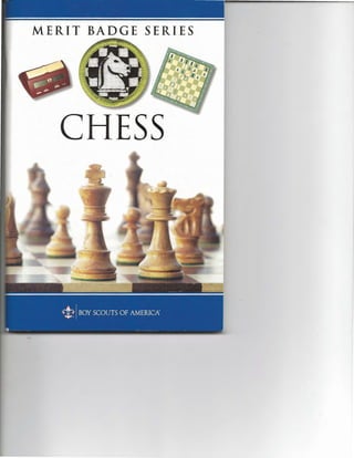 Pulsar Chess Engine Turns 25 : r/chess
