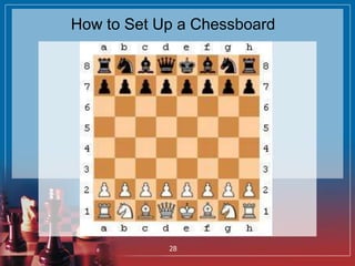 How to Set Up a Chessboard
28
 