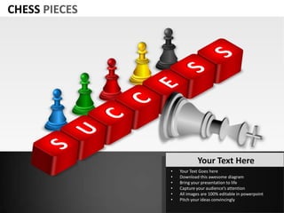 CHESS PIECES




                           Your Text Here
               •   Your Text Goes here
               •   Download this awesome diagram
               •   Bring your presentation to life
               •   Capture your audience’s attention
               •   All images are 100% editable in powerpoint
               •   Pitch your ideas convincingly
 