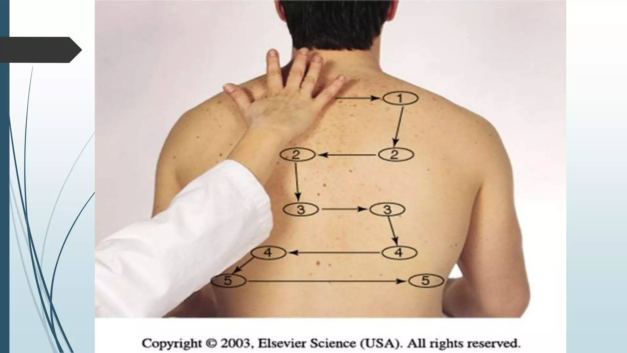 Chest-Thorax Assessment.pptx