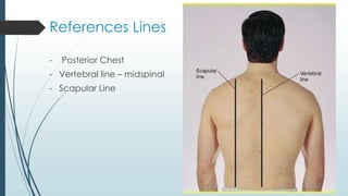 Line Between Chest Chest-Thorax Assessment.pptx