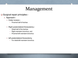 Management
 Surgical repair principles:-
 Approach:-
 Collar incision:-
• Proximal half of trachea
 Right posterolateral thoracotomy:-
• Distal half of the trachea
• Right mainstem bronchus, and
• Proximal left mainstem bronchus
 left posterolateral thoracotomy.
• For distal left mainstem bronchus
 